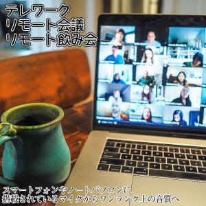 USB マイク ピンマイク タイプC イヤホン...の詳細画像3