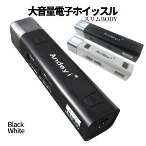 電子 ホイッスル 笛 電子ホイッスル USB 充電式 LEDライト 音量調節 防犯 防災 熊除け 大音量 130dB 試合 スポーツ サッカー バレー フットサル 登山 DENWHIS