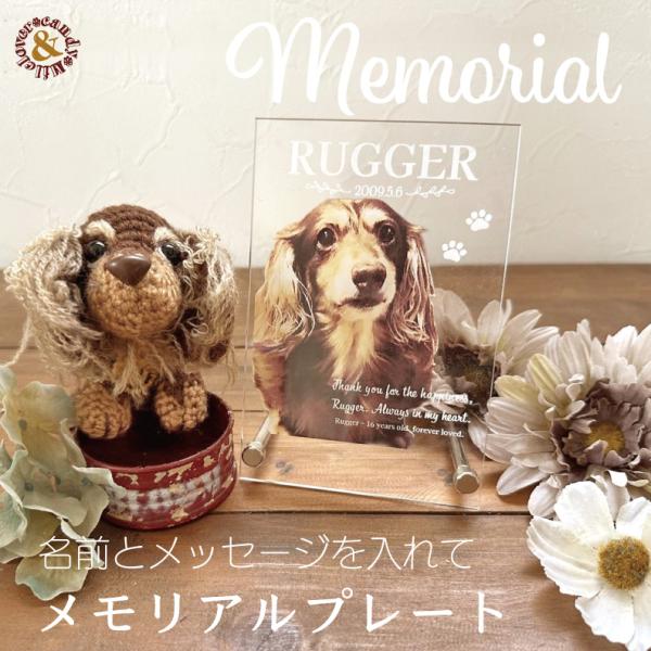 ペット メモリアル フォトプレート / 写真 フォトスタンド アクリルスタンド  卓上 縦型 横型 ...