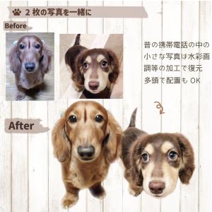 送料無料|写真で作る うちの子 クリアポーチ ...の詳細画像4