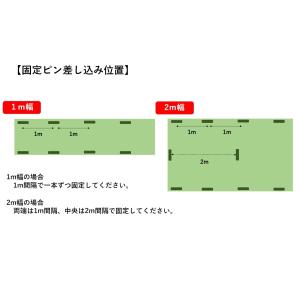 人工芝 おさえピン 50個セット 50本 ピン...の詳細画像2