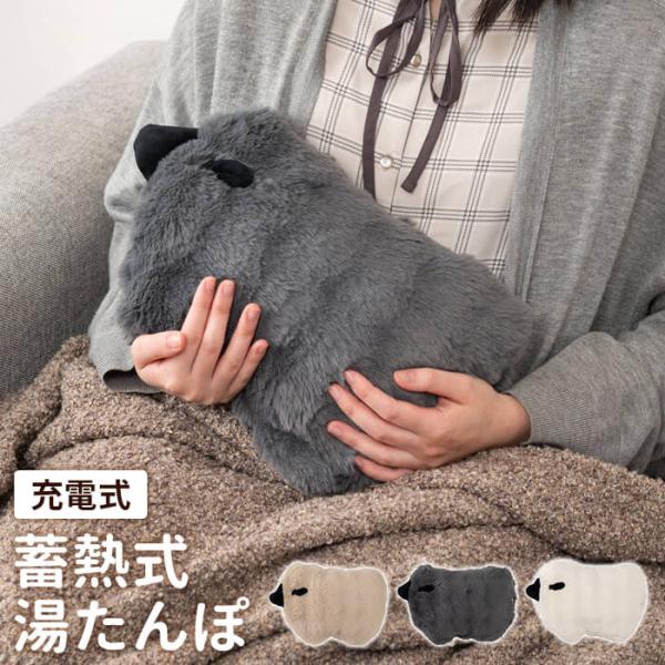 湯たんぽ 充電式 お湯不要 繰り返し使える カイロ 電気ゆたんぽ 蓄熱式 エコ湯たんぽ 暖房器具 あ...
