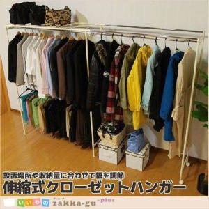 ミヤグチ企販 ハンガーラック 2段 スリム 衣類収納 パイプ ウォーク