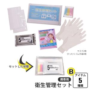 衛生管理セット 携帯用 ケース入り 5種類 綿棒 ウェットティッシュ マスク 手袋 衛生管理 衛生的 感染症対策 飛沫 感染症 予防 緊急 非常時 避難｜zakka-gu-plus