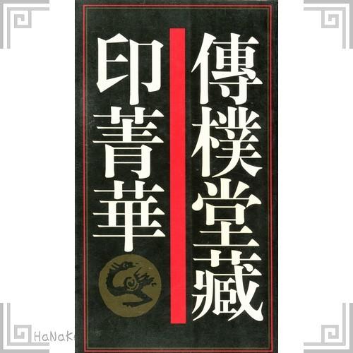 中国語の本 伝朴堂蔵印青華 中国 書籍