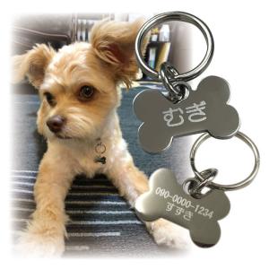 迷子札 ステンレス 小型犬 名前 小さめ かわいい