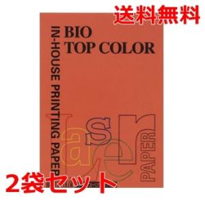 伊東屋 バイオトップカラー 80g A4 BT119 ブリックレッド 100枚×2 モンディ