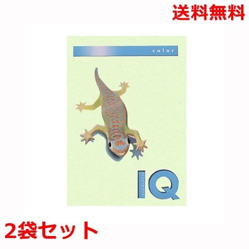 伊東屋 バイオトップカラー 80g A4 BT505 グリーン 500枚×2 モンディ
