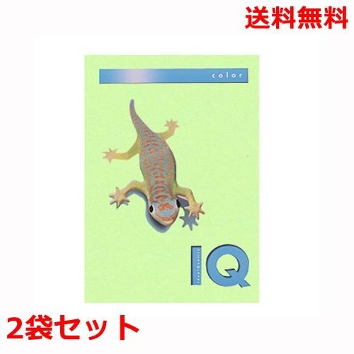 伊東屋 バイオトップカラー 80g A4 BT506 ミディアムグリーン 500枚×2 モンディ