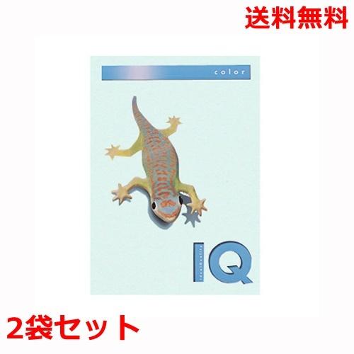 伊東屋 バイオトップカラー 80g A4 BT507 ブルー 500枚×2 モンディ