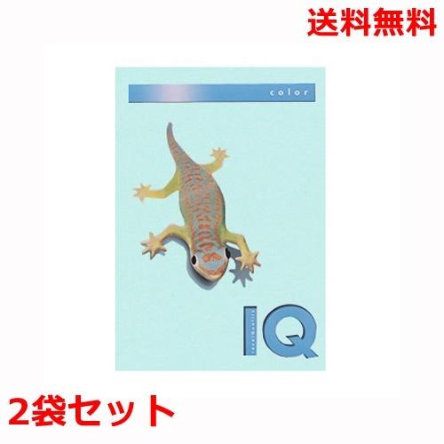 伊東屋 バイオトップカラー 80g A4 BT508 ミディアムブルー 500枚×2 モンディ
