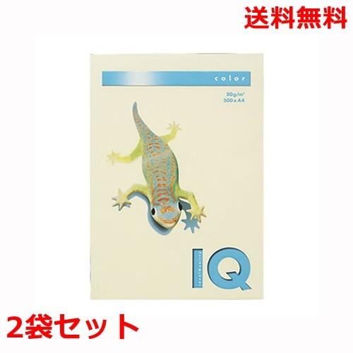 伊東屋 バイオトップカラー 80g A4 BT530 バニラ 500枚×2 モンディ