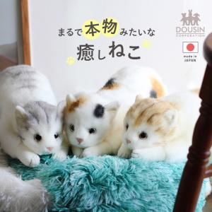 本物そっくりな猫のぬいぐるみ リアル ねこのぬいぐるみ 58cm(猫 ぬいぐるみ ネコ ねこ かわいい 本物