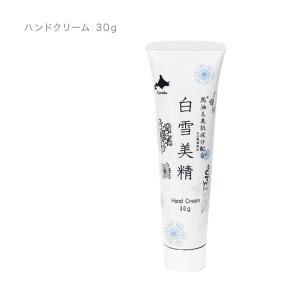 白雪美精 ギフトバッグB(日本製 スキンケア ...の詳細画像2