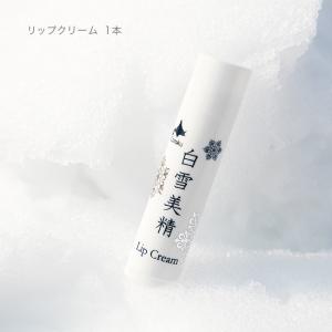 白雪美精 ギフトバッグB(日本製 スキンケア ...の詳細画像3