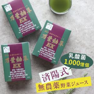 済陽式 万葉効草EX 《3箱セット》(青汁 乳酸菌 酵素ドリンク