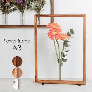 フラワーフレーム CX-A3(一輪挿し おしゃれ 木製フレーム 試験管