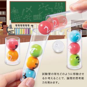 ロジカルニュートン 野口英世の研究(パズル 子...の詳細画像4