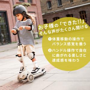 スクートアンドライド ハイウェイキック3S(キ...の詳細画像3
