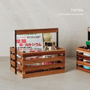 ツールボックス AZ-06(小物 収納 サプリメント 衛生日用品 収納ケース