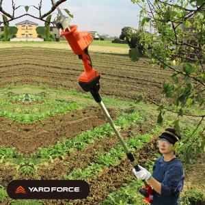 ブラック＆デッカー（BLACK & DECKER） ブラックアンドデッカー 高枝