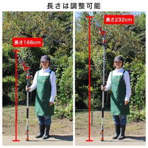 YARD FORCE ヤードフォース 12V ...の詳細画像2