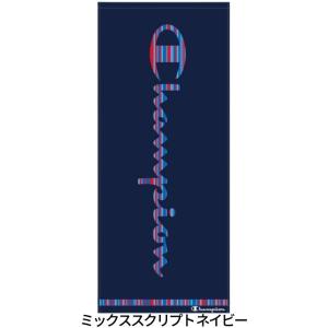【1000円 送料無料】 チャンピオン フェイ...の詳細画像2
