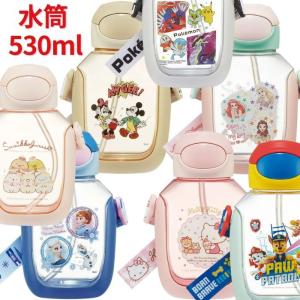 DOSHISHA（ドウシシャ） 【外箱訳アリ】しなこちゃんコラボ 水筒 そこ