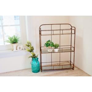 ラダーシェルフ ラダーラック 飾り棚 壁付け 壁掛け ラック おしゃれ