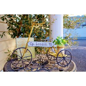 ガーデンサイクル フラワースタンド ダークグリーン 自転車 三輪車