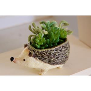 プティットボブポットS ハリネズミ はりねずみ ポット ガーデン 園芸