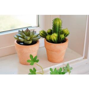 アートフラワー フェイクグリーン SPICE Decor imitation mini cactus...