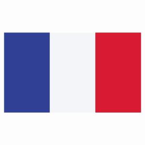 210x121mm  フランス France 国旗 ステッカー  カッティングシート シール National Flag 国 旗 塩ビ製 トリコロール｜zakka-puropella