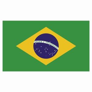 150x86mm ブラジル Brazil 国旗 ステッカー カッティングシート シール National Flag 国 旗 塩ビ製｜zakka-puropella
