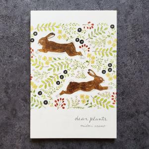 浅野みどり　はがき箋10枚入り　dear plants　ポストカード　ハガキ　グリーティングカード絵葉書