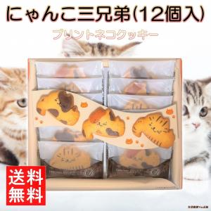 ネコ クッキー 洋菓子 信州 長野 お菓子 お土産 にゃんこ 三兄弟 12個入