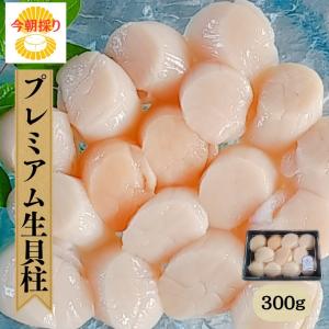 【シーズン終了】今朝採り♪プレミアム生貝柱300ｇ 現在9〜12玉 海の幸 三陸宮城女川 ホタテ貝柱 ほたて 刺身用 産地直送 高級品 お取り寄せグルメ ギフト
