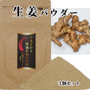 送料無料 野菜パウダー 生姜 パウダー 20gx3 国産100% 無農薬 野菜粉末 健康 美容｜zakka-yasan