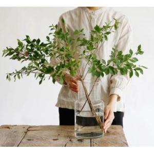 フラワーベース ガラス 枝もの 花瓶 フラワースタンド の商品一覧 インテリア雑貨 家具 インテリア 通販 Yahoo ショッピング