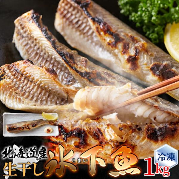氷下魚 こまい 北海道産 生干し氷下魚(こまい) 1kg 送料無料