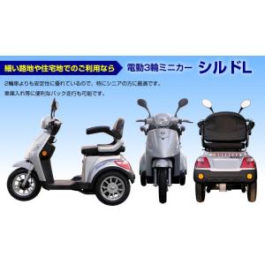アクセス製 電動バイク バイク車体 電動ミニカー シルドl リチウムバッテリー搭載タイプ 後ろカゴ付き 原付３輪 定員１名 送料無料 一部地域除く Evm 01kago 電動バイクの雑貨市場ev 店
