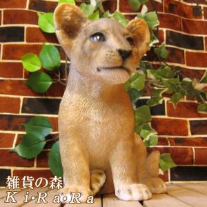 置物 動物 可愛い 動物の置物 リアルな オーストラリアの人気者 4点