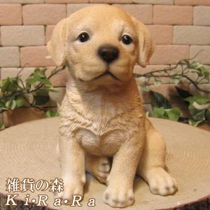 雑貨の森 Ki Ra Ra Yahoo 店 ラブラドール ゴールデンレトリバー 犬種別 Yahoo ショッピング