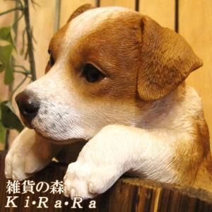 置物 動物 可愛い 犬の置物 ジャックラッセルテリア　リアル　ぶらさがりドッグ　子いぬのフィギュア　イヌのオブジェ　ガーデニング　ベランダアート｜zakkakirara