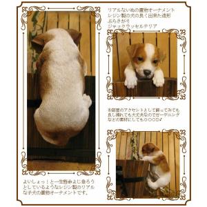 置物 動物 可愛い 犬の置物 ジャックラッセル...の詳細画像1
