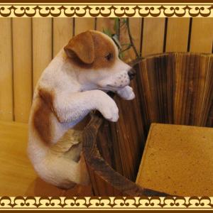 置物 動物 可愛い 犬の置物 ジャックラッセル...の詳細画像3