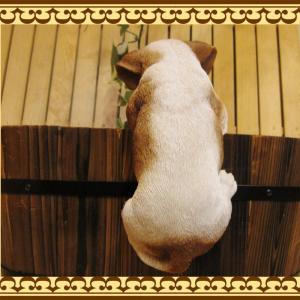 置物 動物 可愛い 犬の置物 ジャックラッセル...の詳細画像4