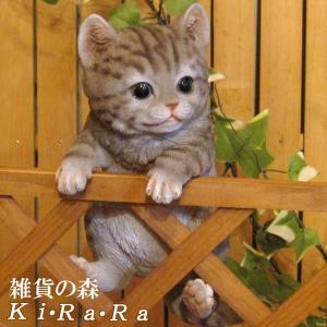 置物 猫 動物 お座りスフィンクス 高さ32cm woobia おしゃれ 大きい