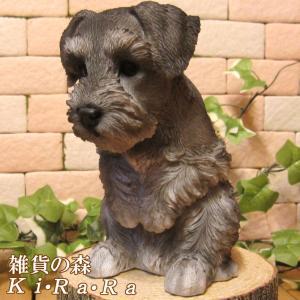 置物 動物 可愛い 犬の置物 シュナウザー　おもてなし　ドッグ　リアル　子いぬのフィギア　イヌのオブジェ　ガーデニング　玄関先　ベランダアート｜zakkakirara