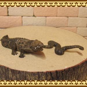 動物 置物 ワニの商品一覧 通販 Yahoo ショッピング